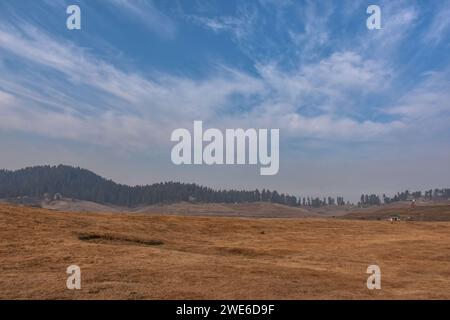 Gulmarg, Inde. 23 janvier 2024. Une vue générale de la station de ski généralement couverte de neige à cette période de l'année lors d'une journée d'hiver ensoleillée à Gulmarg, à environ 55 km de Srinagar. La vallée pittoresque du Cachemire, réputée pour ses spots de neige et de ski hivernaux, fait face à une sécheresse inhabituelle cette saison hivernale. Gulmarg, une destination touristique populaire célèbre pour ses pentes enneigées, est austère et aride, avec l'absence de couverture de neige. Le manque de neige ne frappe pas seulement l'industrie du ski, mais a un impact inquiétant sur l'agriculture, pilier de l'économie du Cachemire. Le touris Banque D'Images