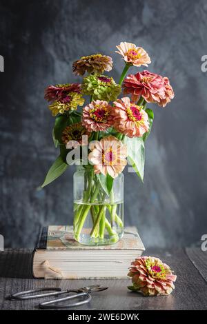 Queeny zinnias rouge citron en pot debout sur le livre Banque D'Images