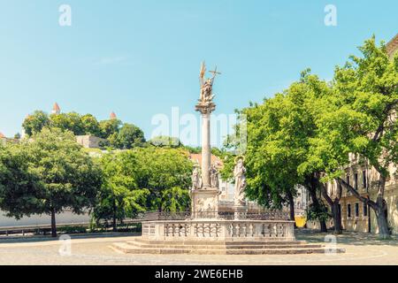 Slovaquie, région de Bratislava, Bratislava, colonne de la Sainte Trinité sur la place des poissons en été Banque D'Images