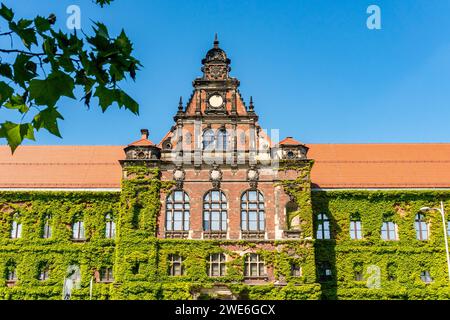 Pologne, voïvodie de Basse-Silésie, Wroclaw, façade envahie du Musée national Banque D'Images