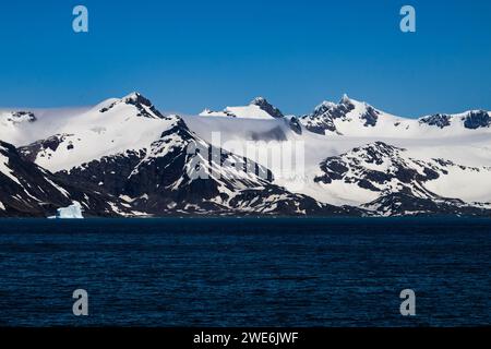 Vue sur Elsehul Bay, SGI, montagnes, glacier, neige, paysage et beauté, printemps Banque D'Images