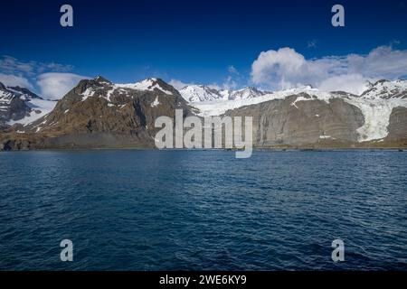 Vue panoramique, Gold Harbor, SGI, glaciers et montagnes, rivage avec des pingouins, Banque D'Images