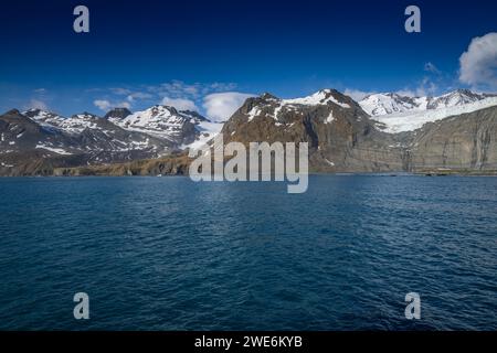 Vue panoramique, Gold Harbor, SGI, glaciers et montagnes, rivage avec des pingouins, Banque D'Images