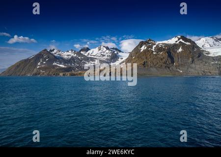 Vue panoramique, Gold Harbor, SGI, glaciers et montagnes, rivage avec des pingouins, Banque D'Images