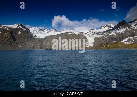 Vue panoramique, Gold Harbor, SGI, glaciers et montagnes, rivage avec des pingouins, Banque D'Images