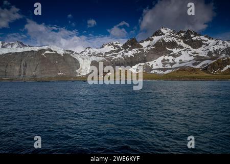 Vue panoramique, Gold Harbor, SGI, glaciers et montagnes, rivage avec des pingouins, Banque D'Images