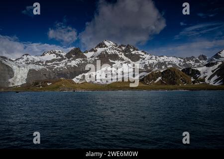 Vue panoramique, Gold Harbor, SGI, glaciers et montagnes, rivage avec des pingouins, Banque D'Images