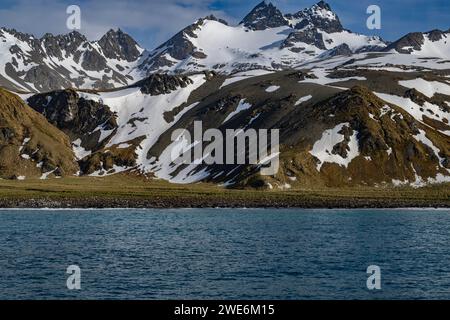 Vue panoramique, Gold Harbor, SGI, glaciers et montagnes, rivage avec des pingouins, Banque D'Images