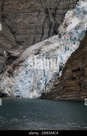 Vue panoramique, Gold Harbor, SGI, glaciers et montagnes, rivage avec des pingouins, Banque D'Images