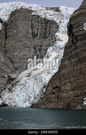 Vue panoramique, Gold Harbor, SGI, glaciers et montagnes, rivage avec des pingouins, Banque D'Images