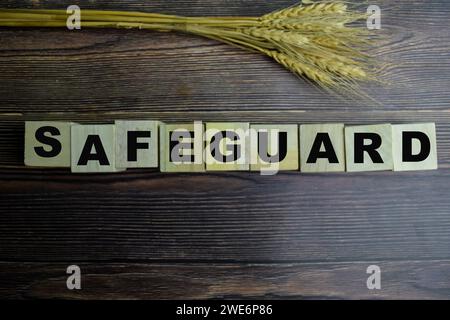 Concept des cubes en bois avec le mot Safeguard sur fond en bois. Banque D'Images