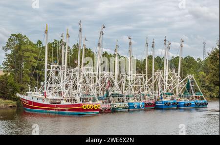 Des bateaux de pêche à la crevette commerciaux ont ancré le long de l'intérieur du Bayou Bernard en préparation d'un ouragan dans le golfe du Mexique Banque D'Images
