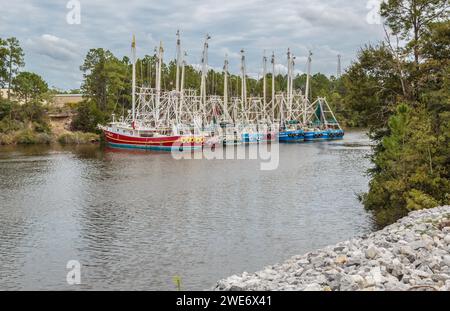 Des bateaux de pêche à la crevette commerciaux ont ancré le long de l'intérieur du Bayou Bernard en préparation d'un ouragan dans le golfe du Mexique Banque D'Images