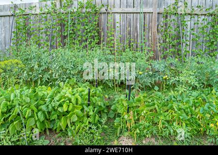 Petit potager maison Patch Garden Banque D'Images