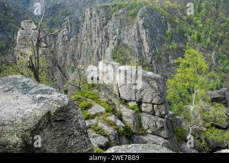 Vue sur les rochers et les arbres dans la vallée de Bode depuis l'Hexentanzplatz, vue sur la Rosstrappe, paroi rocheuse escarpée, végétation clairsemée avec divers arbres Banque D'Images