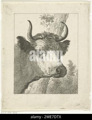 Tête de vache à droite, Joannes Bemme, d'après Jan Asselijn, 1800 - 1802 papier d'impression gravure vache (+ tête d'un animal) Banque D'Images