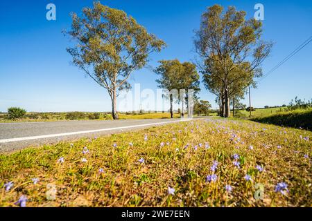 Beau paysage de l'Alentejo et célèbre route nationale N2, Almodovar, Portugal Banque D'Images