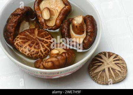 Champignons shiitake séchés dans un bol, trempés dans l'eau Banque D'Images