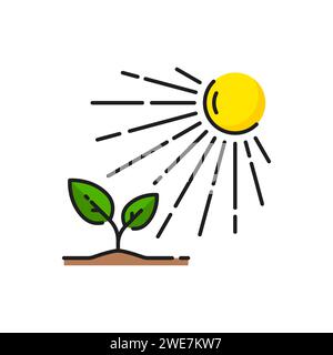 Icône de ligne de croissance de plante, branche de germe avec des feuilles vertes du sol sous le soleil, symbole vectoriel. Agriculture, horticulture agronomie icône linéaire de la croissance des arbres ou des plantes, symbole de la ferme et du jardin Illustration de Vecteur