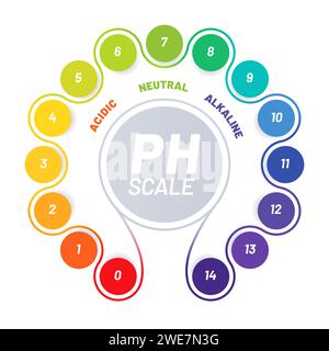 Echelle de PH du bilan acide alimentaire, graphique avec indicateurs des valeurs acides, neutres et alcalines, test vectoriel. Nourriture et eau chimique, échelle d'analyse du pH avec tableau de couleurs de spectre pour l'équilibre d'acidité Illustration de Vecteur