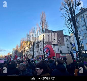 Signez l'interdiction de l'AFD maintenant, foule à la manifestation contre l'extrémisme de droite sur Leopoldstrasse à Munich, protestation contre l'AFD, Munich, Bavière Banque D'Images