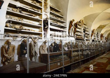 Cadavres momifiés dans les catacombes capucines de Palerme, Italie. Banque D'Images