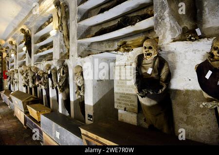 Cadavres momifiés dans les catacombes capucines de Palerme, Italie. Banque D'Images