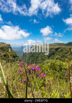 Un paysage de l'Esteniado Canyon à Urubici, Santa Catarina, Brésil. Banque D'Images