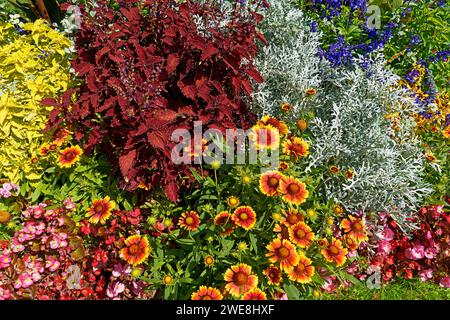 Schloß Ambras, Schloßpark, Blumenbeet Banque D'Images