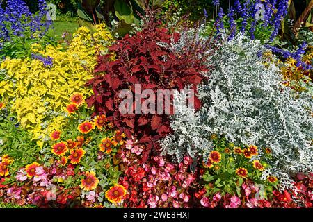 Schloß Ambras, Schloßpark, Blumenbeet Banque D'Images