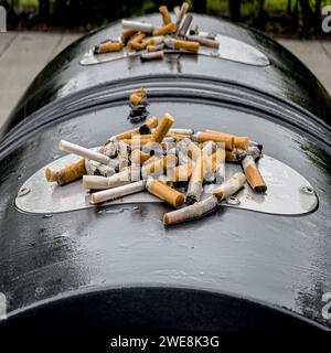 Mégots de cigarettes sur le dessus d'une poubelle communale. Banque D'Images