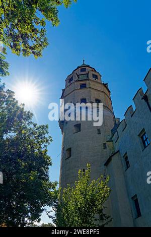 Burg Hasegg, Münzturm Banque D'Images