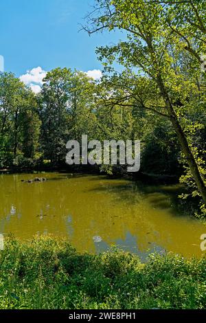 Schloß Ambras, Schloßpark, Großer Weiher Banque D'Images