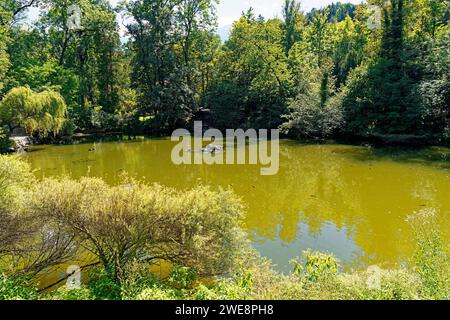 Schloß Ambras, Schloßpark, Großer Weiher Banque D'Images