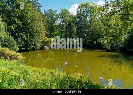 Schloß Ambras, Schloßpark, Großer Weiher Banque D'Images