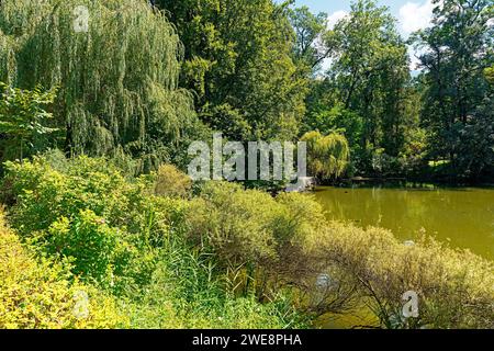 Schloß Ambras, Schloßpark, Großer Weiher Banque D'Images