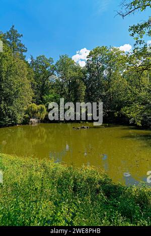 Schloß Ambras, Schloßpark, Großer Weiher Banque D'Images