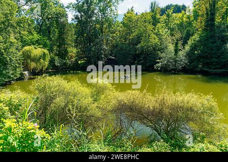 Schloß Ambras, Schloßpark, Großer Weiher Banque D'Images