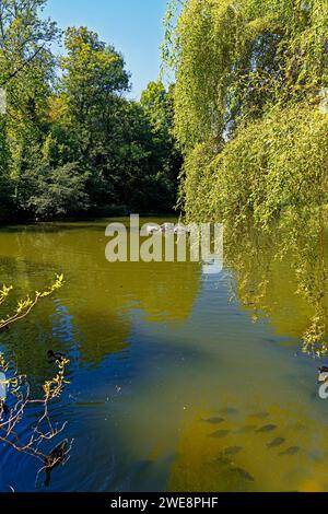 Schloß Ambras, Schloßpark, Großer Weiher Banque D'Images