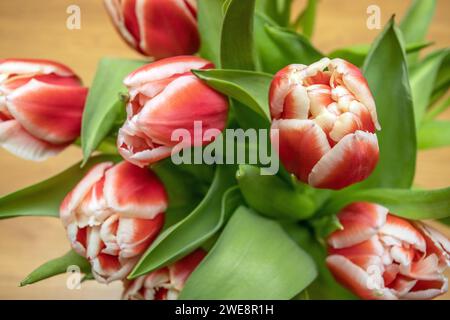 tulipes en vase photographiées d'en haut. Décoration intérieure de la maison sur la table en bois rustique. Photo : Bo Arrhed Banque D'Images