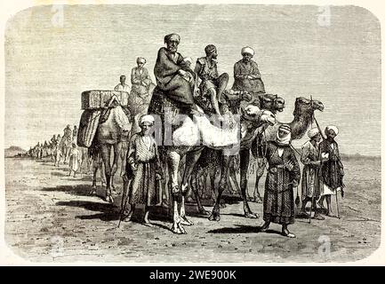 Grande caravane d'hommes sur chameaux traversant un paysage désertique. Gravure historique avec mouvement dynamique. Publié en 1878. Banque D'Images