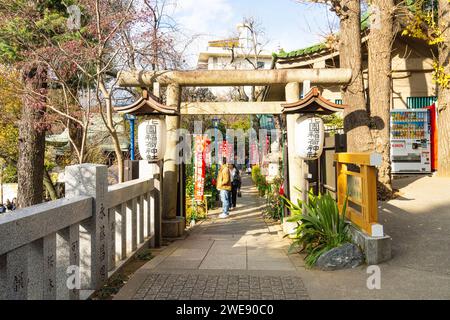 Tokyo, Japon. Janvier 2024. Vue extérieure des portes Torii au temple shinto du sanctuaire Gojoten au parc Ueno dans le centre-ville Banque D'Images