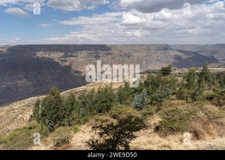 Vue sur le paysage du parc national des montagnes Simien, Éthiopie Banque D'Images