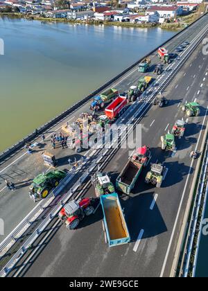 Manifestation de fermiers bloquant l'autoroute A63 (Viaduc Hubert Touya, Bayonne (64100), Pyrénées-Atlantiques (64), Nouvelle Aquitaine, France). Ce mardi 23 janvier 2024, à partir de 6 heures du matin, les agriculteurs des Pyrénées-Atlantiques, à l’appel de la FDSEA 64 et des jeunes agriculteurs, ont organisé des points de blocage aux échangeurs de Bayonne. La circulation est interrompue ce mardi sur cette portion de l’autoroute par des manifestants déterminés. Les manifestations agricoles sont un signe de la crise à laquelle est confronté le secteur agricole en France et en Europe. Banque D'Images