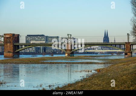 Vue depuis les prairies inondées du Rhin à Poll à la Suedbruecke, le port de Rheinau avec les maisons de grue et à la cathédrale, Cologne, Allemagne. Blick Banque D'Images