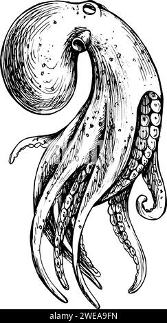 Clipart du monde sous-marin avec Octopus. Illustration graphique dessinée à la main à l'encre noire. Vecteur EPS objet isolé. Illustration de Vecteur