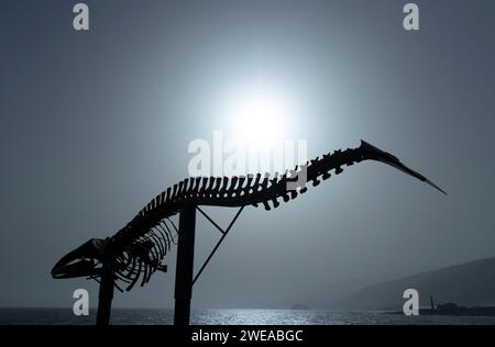 Los silos, Santa Cruz de Tenerife, Espagne, 12-08-2023. Sculpture de squelette de baleine à Los silos, Tenerife. Véritable squelette d’une « baleine boréale fin ». Photo ag Banque D'Images