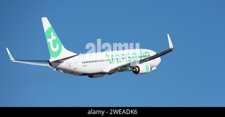 Tenerife, Espagne 21 janvier 2024 Boeing 737-8K2. Transavia Airlines vole dans le ciel bleu Banque D'Images