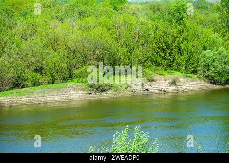 Potamologie. La rivière Don au milieu. Fort débit de rivière et forêt de plaine inondable composée principalement de saule blanc, vallée simulée. Traces de spr Banque D'Images