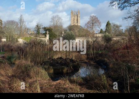 The Water Garden Oxford Botanic Garden, l'un des plus anciens jardins scientifiques au monde avec Magdalen Tower en arrière-plan Oxford Angleterre Royaume-Uni Banque D'Images